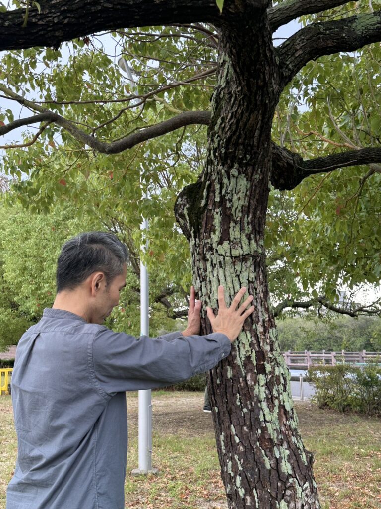 おひさま自然療法院 - 松果体呼吸法実践講座風景3